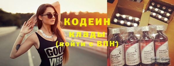 амф Елабуга