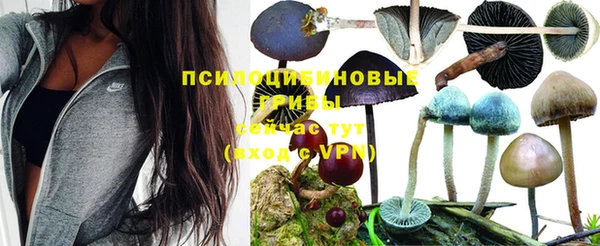 эйфоретик Ельня