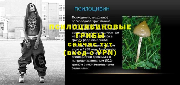 амф Елабуга