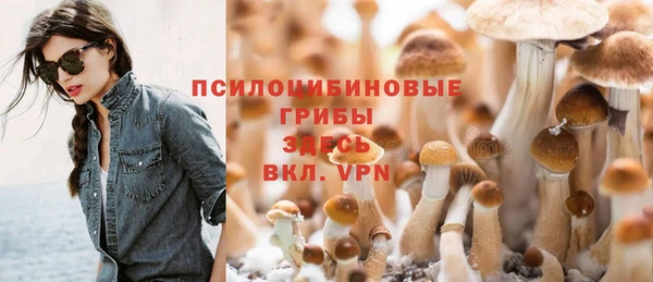 дмт Заволжск